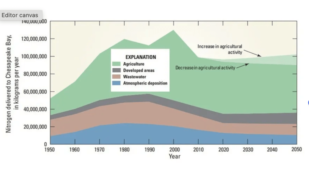 What Our Bay Health Says About Our Agricultural Practices