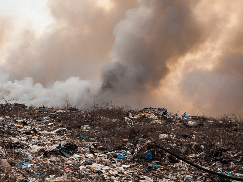The Hidden Cost of Cheap Waste: Why Reducing Trash Matters More Than We&nbsp;Think